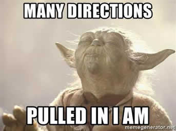 Many directions, pulled in I am - Yoda smelling - Meme Generator